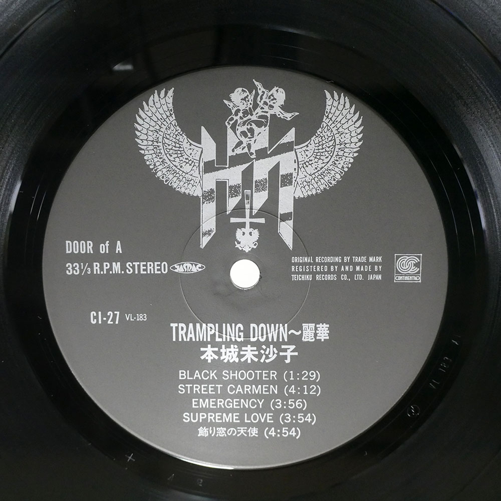 本城未沙子 / TRAMPLING DOWN