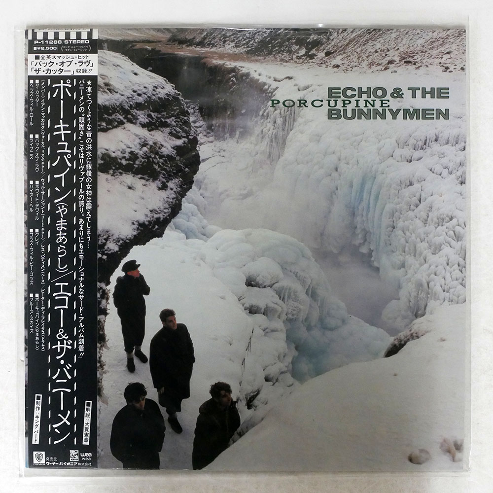 ECHO & THE BUNNYMEN / ポーキュパイン(やまあらし)