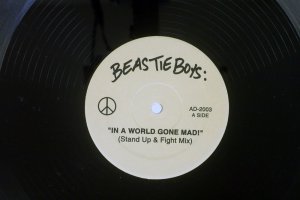 BEASTIE BOYS / IN A WORLD GONE MAD! (STAND UP MIX)