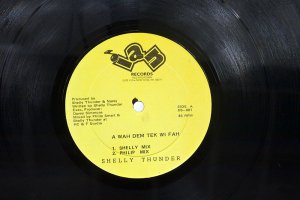 SHELLY THUNDER / A WAH DEM TEK WI FAH