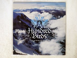 A HUNDRED BIRDS / IN THE SKY