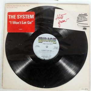 THE SYSTEM / I WON'T LET GO