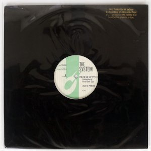 THE SYSTEM / YOU'RE IN MY SYSTEM (KERRI CHANDLER REMIXES)