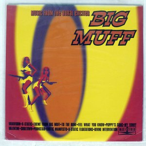 BIG MUFF / MUSIC FROM THE AURAL EXCITER