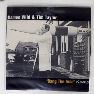DAMON WILD & TIM TAYLOR / BANG THE ACID (REMIXES)