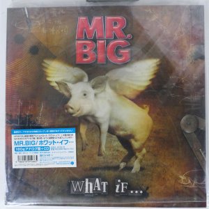 MR. BIG / WHAT IF
