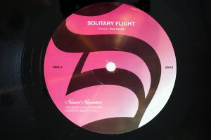THEO PARRISH / SOLITARY FLIGHT