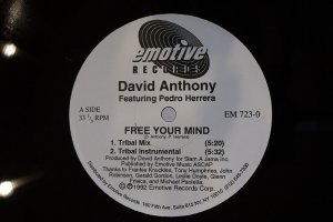 DAVID ANTHONY FEAT. PEDRO HERRERA/ FREE YOUR MIND
